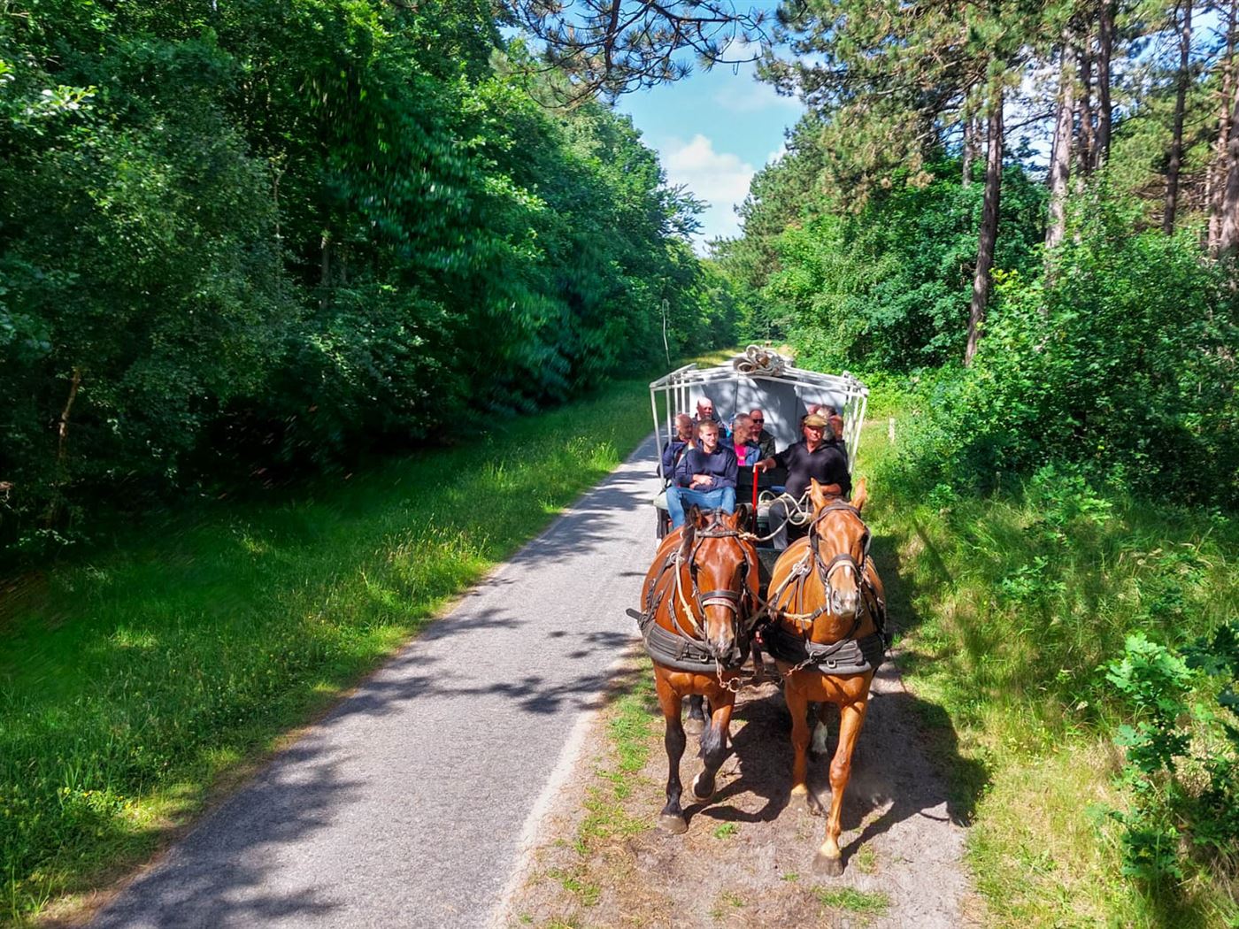 Terschelling 2023 teamuitje